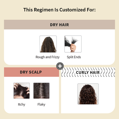 Customized Hair Care Regimen For Dry Hair | Dry Scalp & Curly Hair With Conditioner
