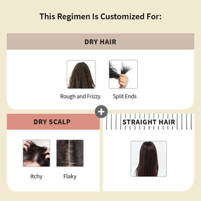 Customized Hair Care Regimen For Dry Hair | Dry Scalp & Straight Hair With Conditioner